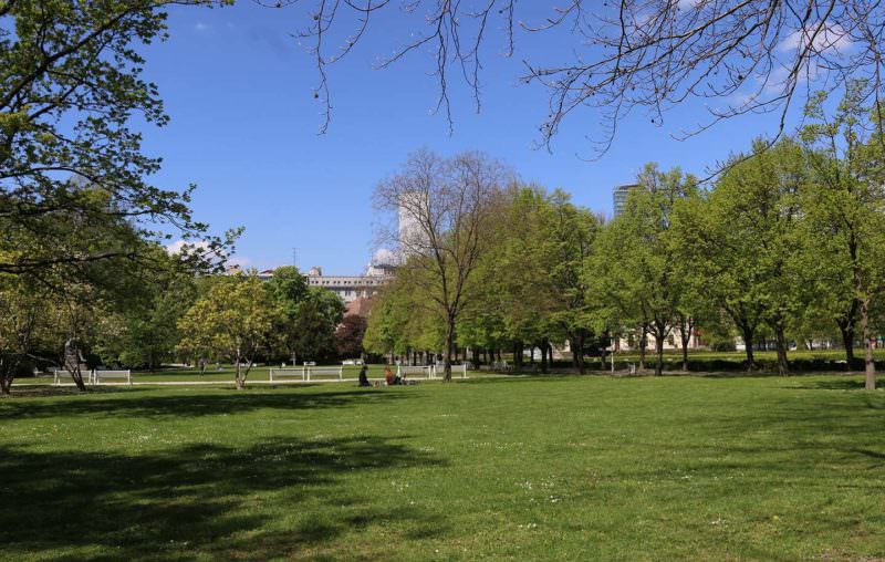Comenius Universität Medical Garden