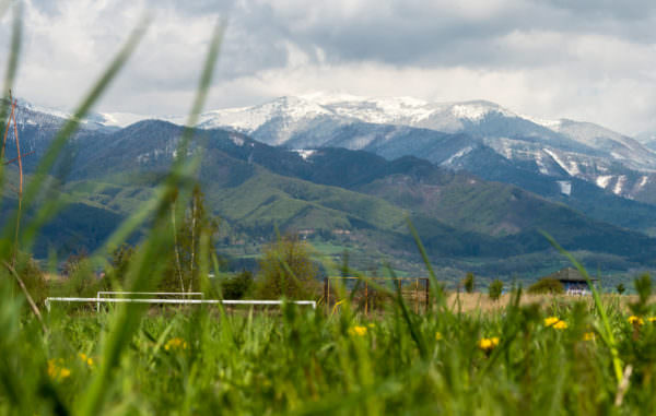 Die Natur von Martin