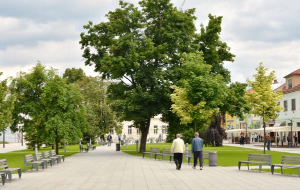 Die Stadt Martin